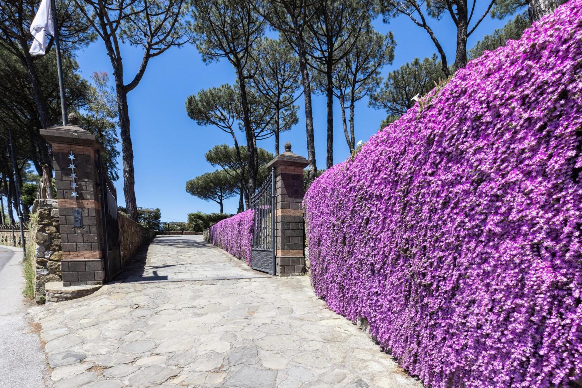 Oasi Olimpia Relais Otel SantʼAgata sui Due Golfi Dış mekan fotoğraf